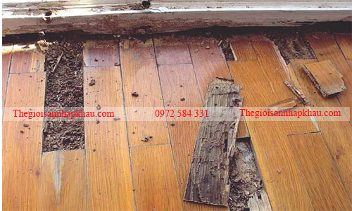 san go cong nghiep khong chong moi mot