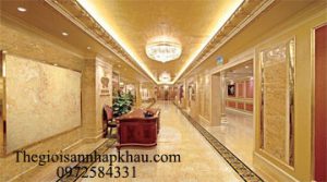 tam nhua van da tai hai phong anh bia