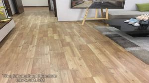 san go hai phong anh bia